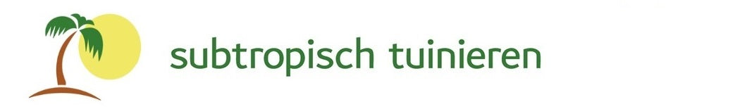 Subtropisch tuinieren